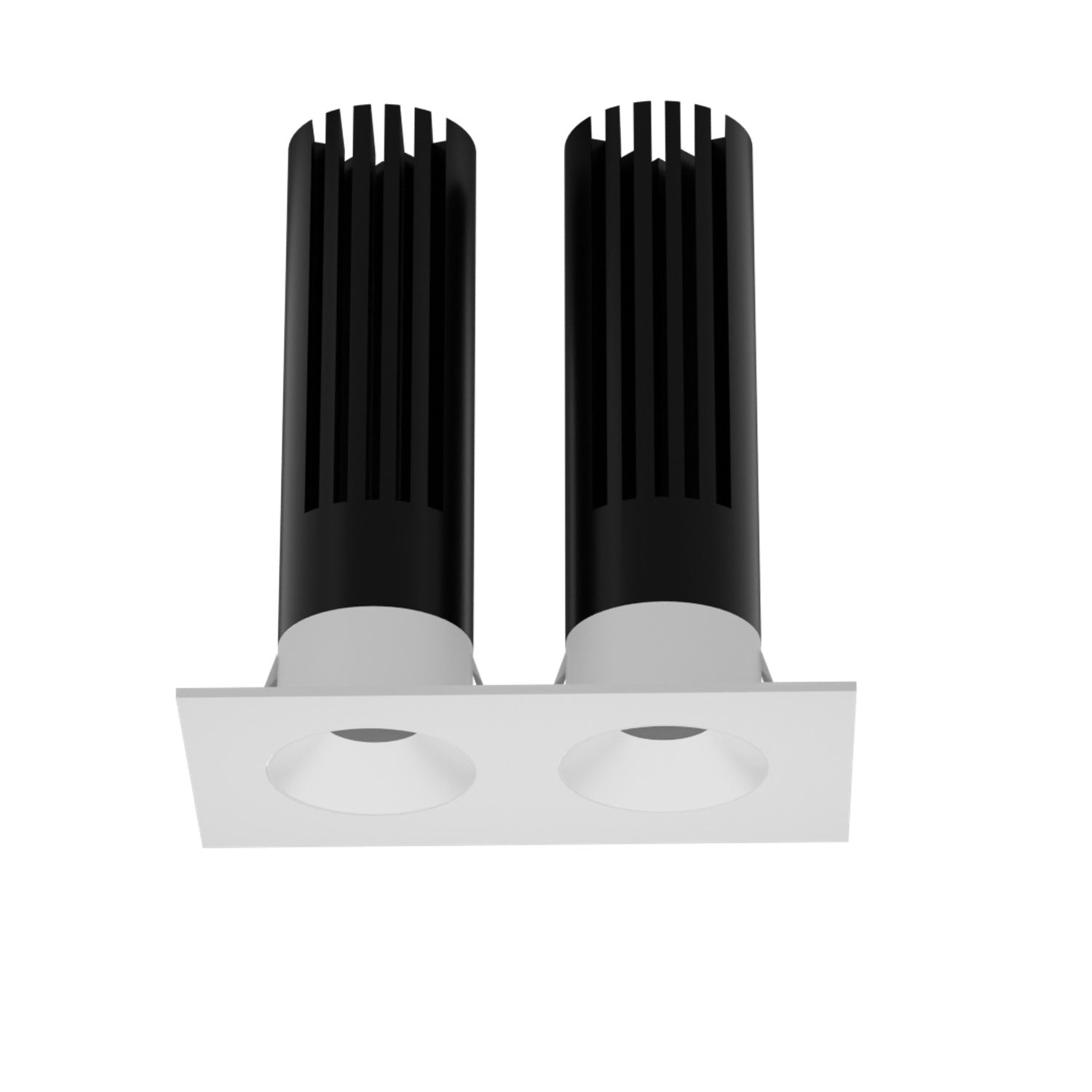 JS-TRL Asteroid Double 10wx2 Rectangle Fixed Multiple Led Cob Downlight
